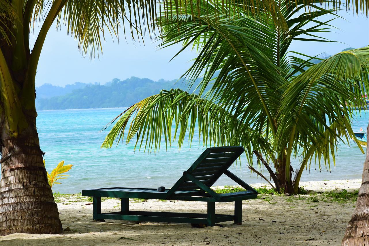 화이트 코랄 비치 리조트 호텔 Radhanagar beach 외부 사진