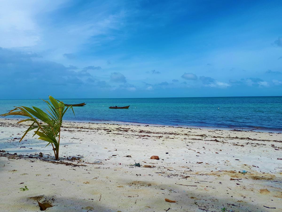 화이트 코랄 비치 리조트 호텔 Radhanagar beach 외부 사진