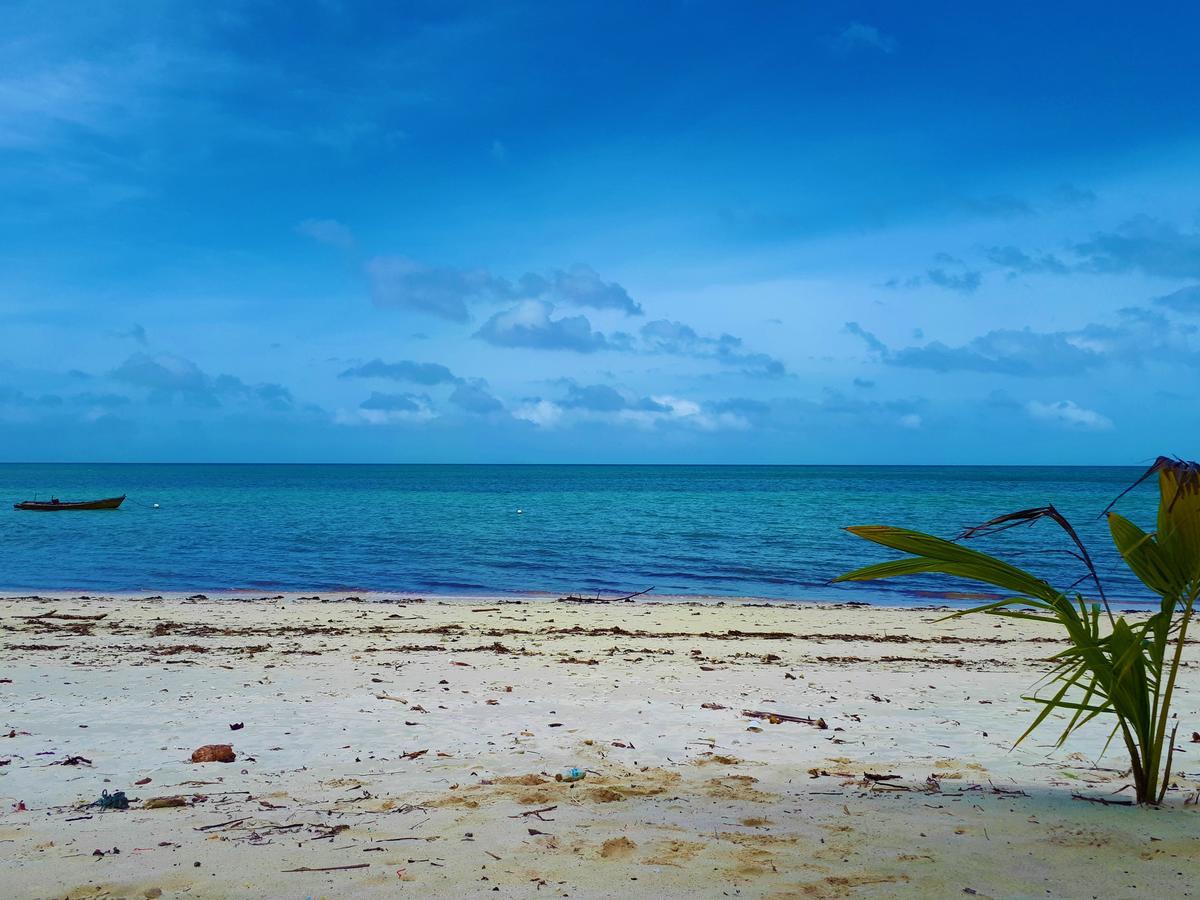 화이트 코랄 비치 리조트 호텔 Radhanagar beach 외부 사진